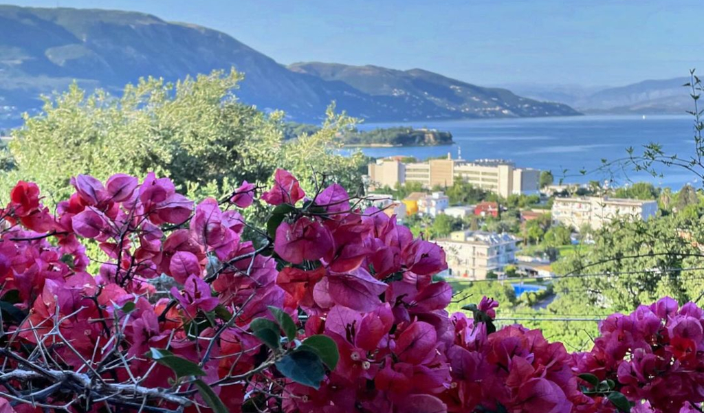 5 Stunning Plants To Admire In Corfu